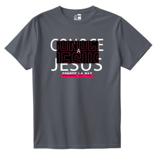 Conoce a Jesús