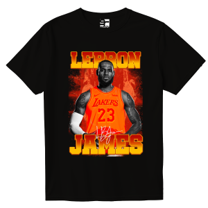 Lebron James NBA - Fanart